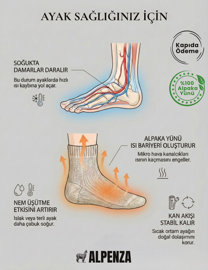 Alpenza Doğal Alpaka Yünlü Kışlık Çorap